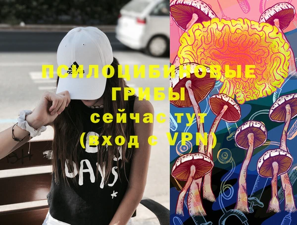 прущий лед Аркадак
